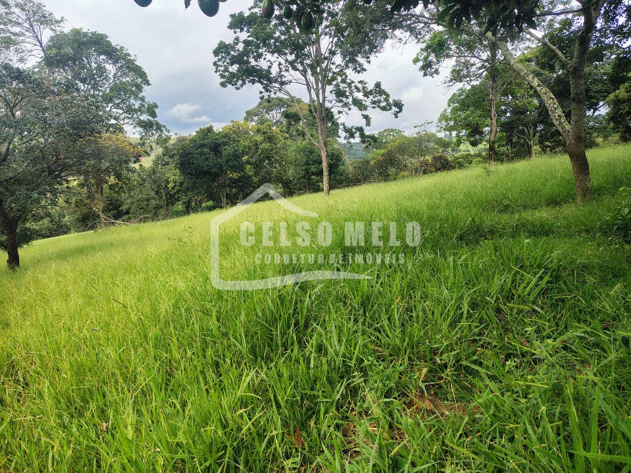 Celso Melo Corretor de Im�veis em Bom Despacho