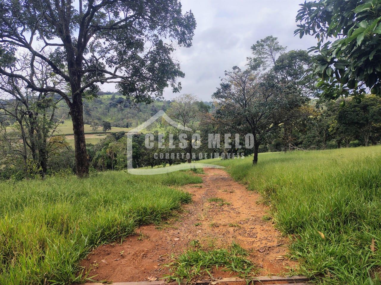 Celso Melo Corretor de Im�veis em Bom Despacho