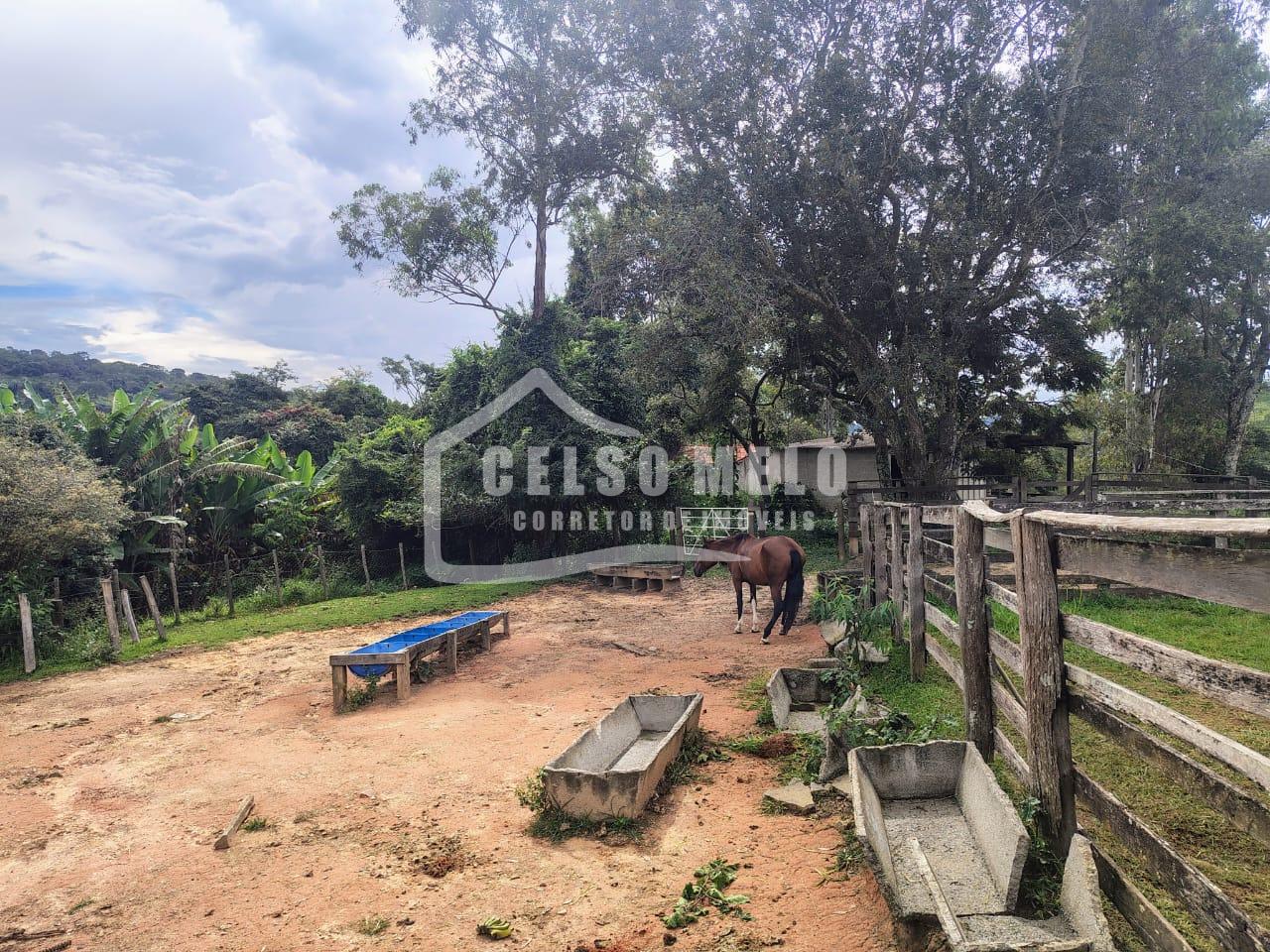Celso Melo Corretor de Im�veis em Bom Despacho