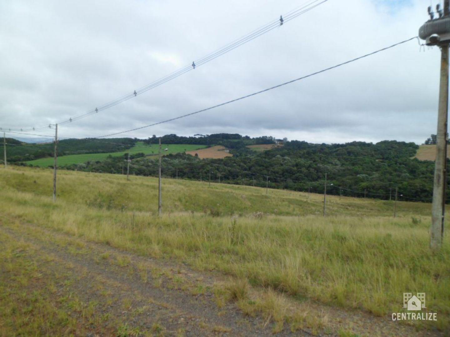 VENDA- TERRENO- PIRIQUITOS- PONTA GROSSA - PR