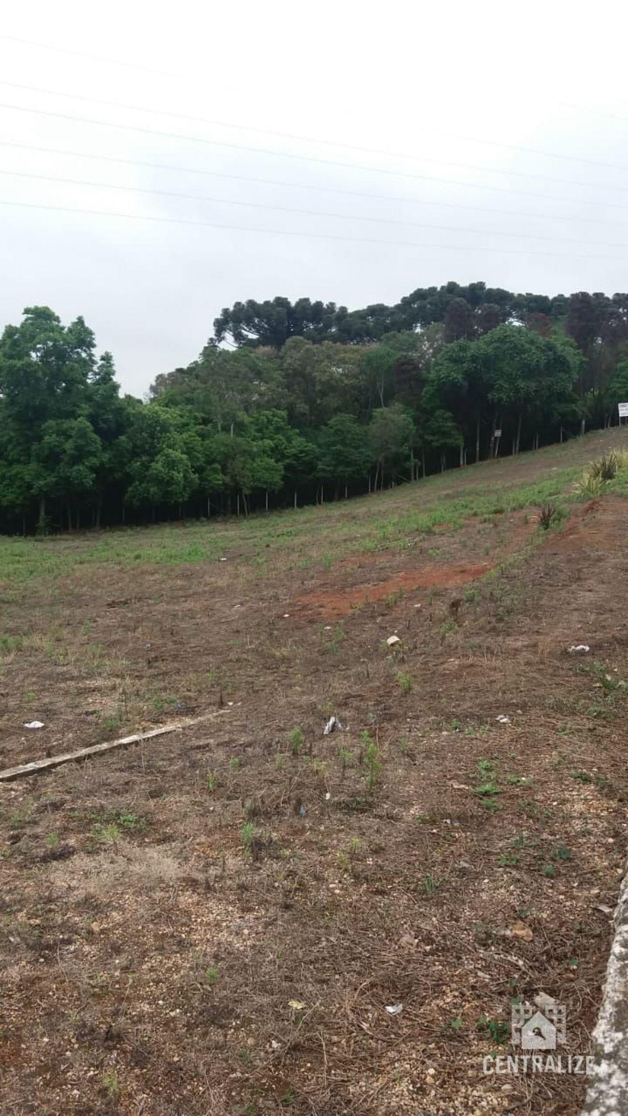 Terreno com 4 lotes à venda, Olarias, PONTA GROSSA - PR