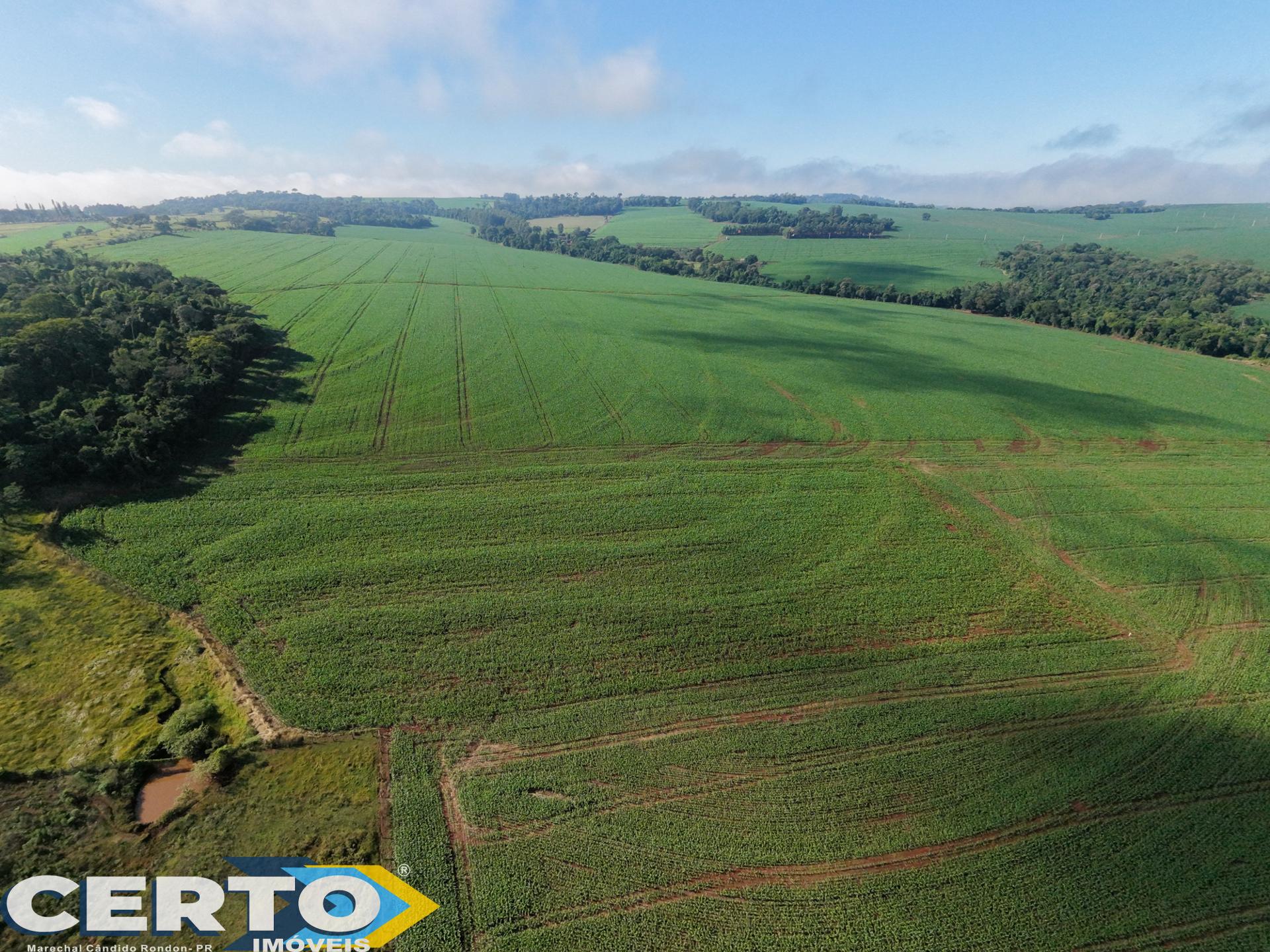 CHÁCARA À VENDA EM BELA VISTA
