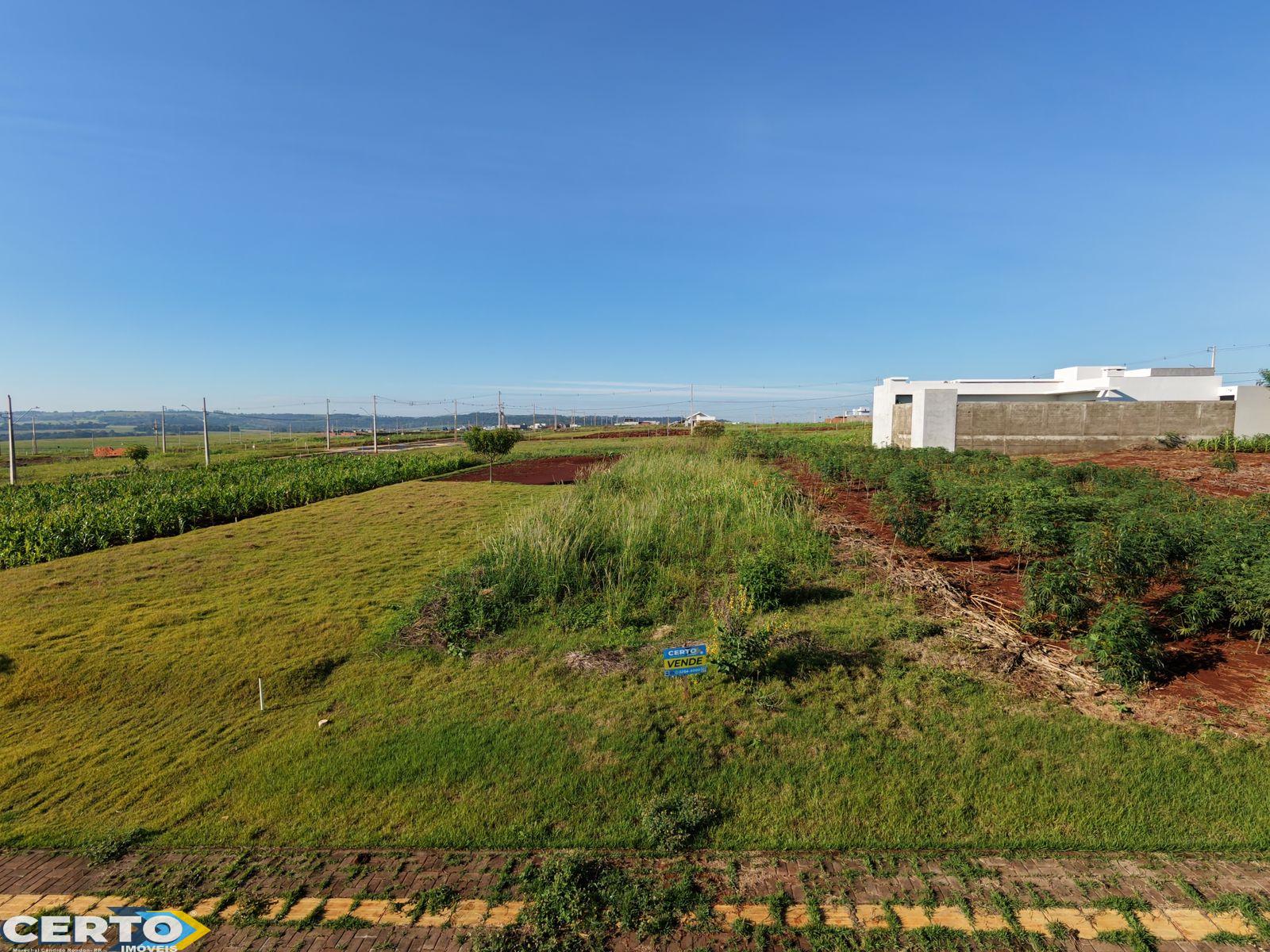 TERRENO À VENDA NO LOTEAMENTO ROESLER