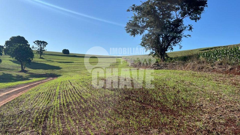 Vende-se Sítio de 6 Alqueires no Distrito Espírito Santo em Lo...