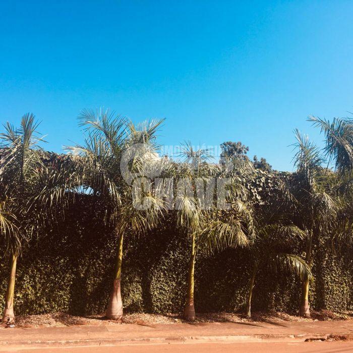 Vende-se Chácara no Jardim Colina Verda em Londrina - PR