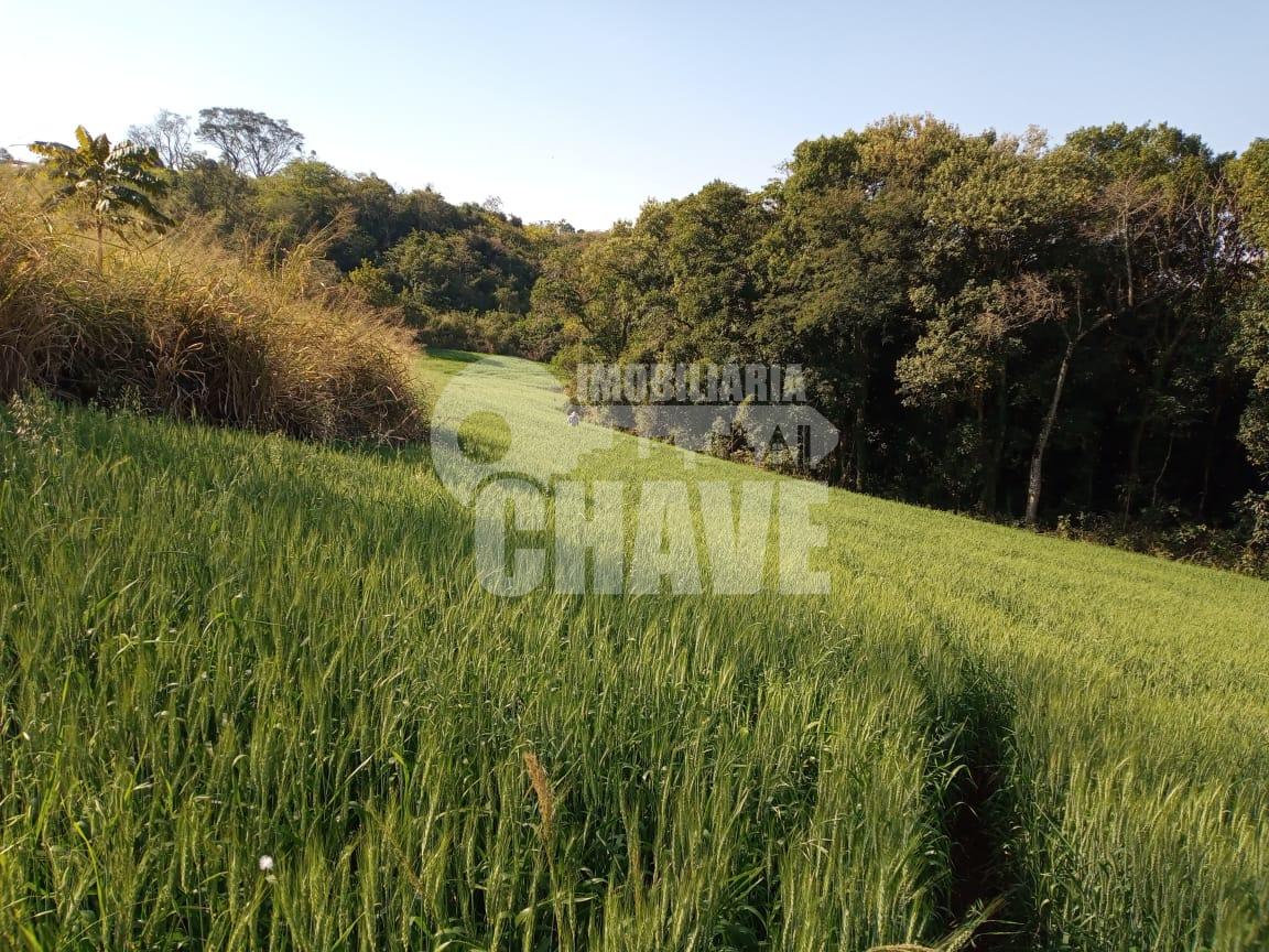 Sítio à venda, ZONA RURAL, GUARAVERA - PR