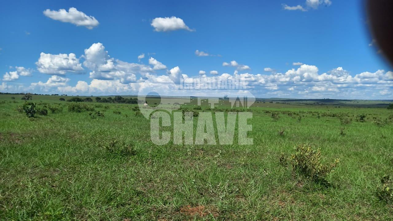 Vende-se Fazenda de 1530 has na Regi?o de  CAMAPUA - MS