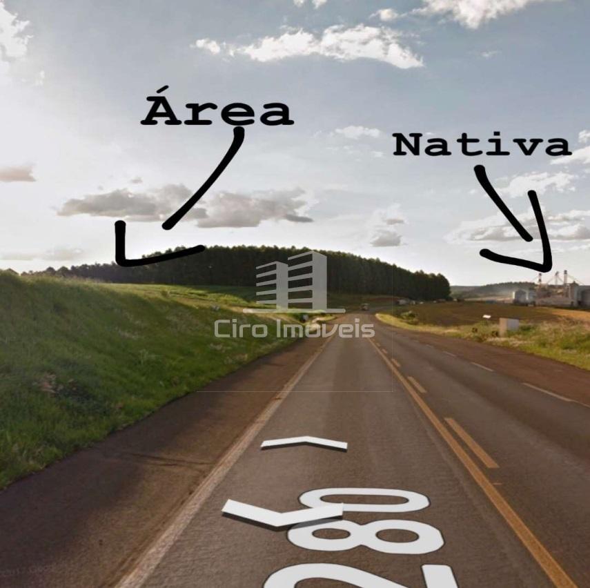Terreno de frente a BR 280, área localizada em Vitorino-PR.