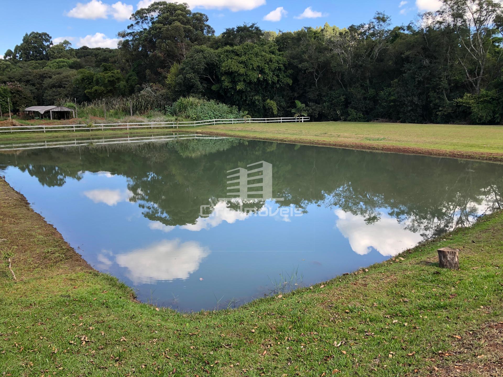 CHACRINHA NA LINHA SÃO BRAZ
