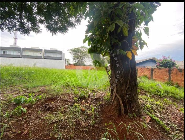Terreno à venda, Vila Yolanda, FOZ DO IGUACU - PR