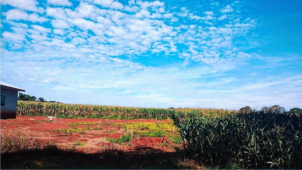Bairro Arroio Dourado zona rural fácil acesso, FOZ DO IGUACU - PR