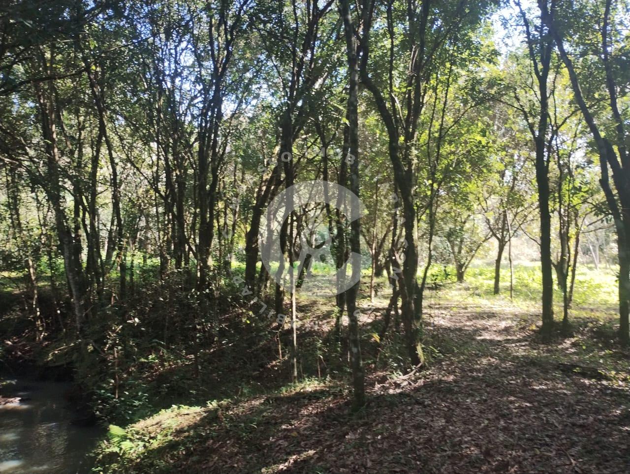 Vende-se chácara na Área Rural, Arroio Dourado, FOZ DO IGUACU ...