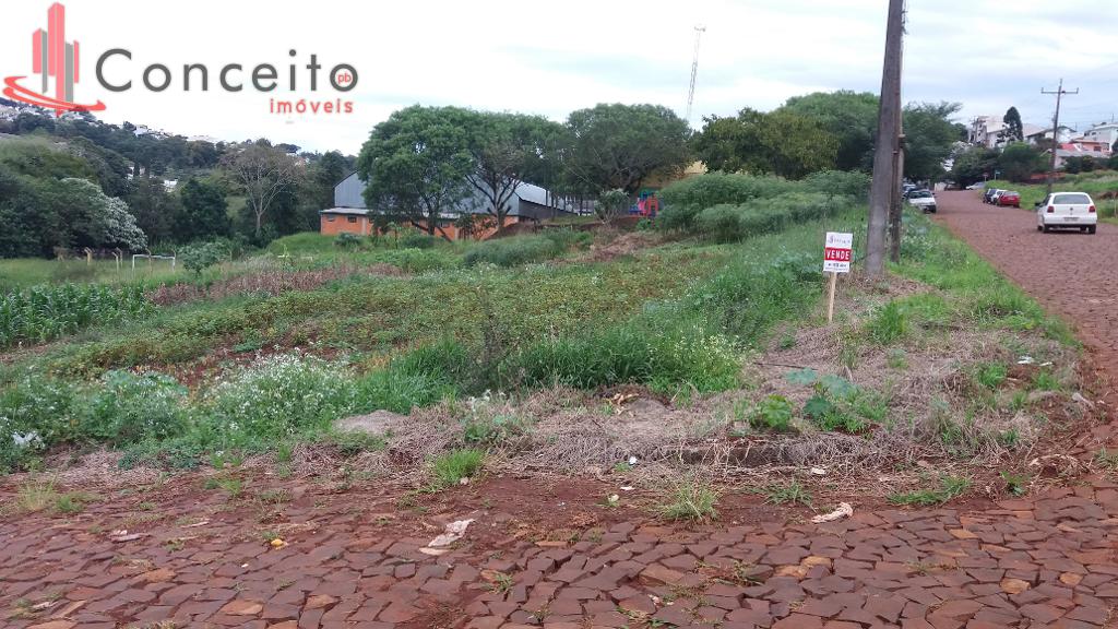 VENDE-SE TERRENO BAIRRO VILA IZABEL PATO BRANCO PR, com 436 m 