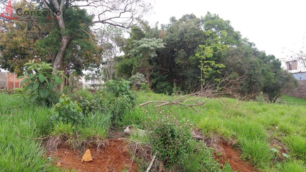 VENDE TERRENO BAIRRO PINHEIROS