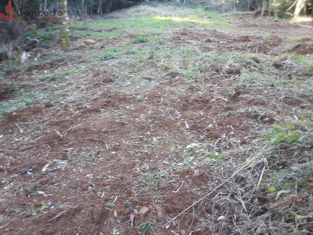 VENDE CHÁCARA COMUNIDADE PASSO DA ILHA