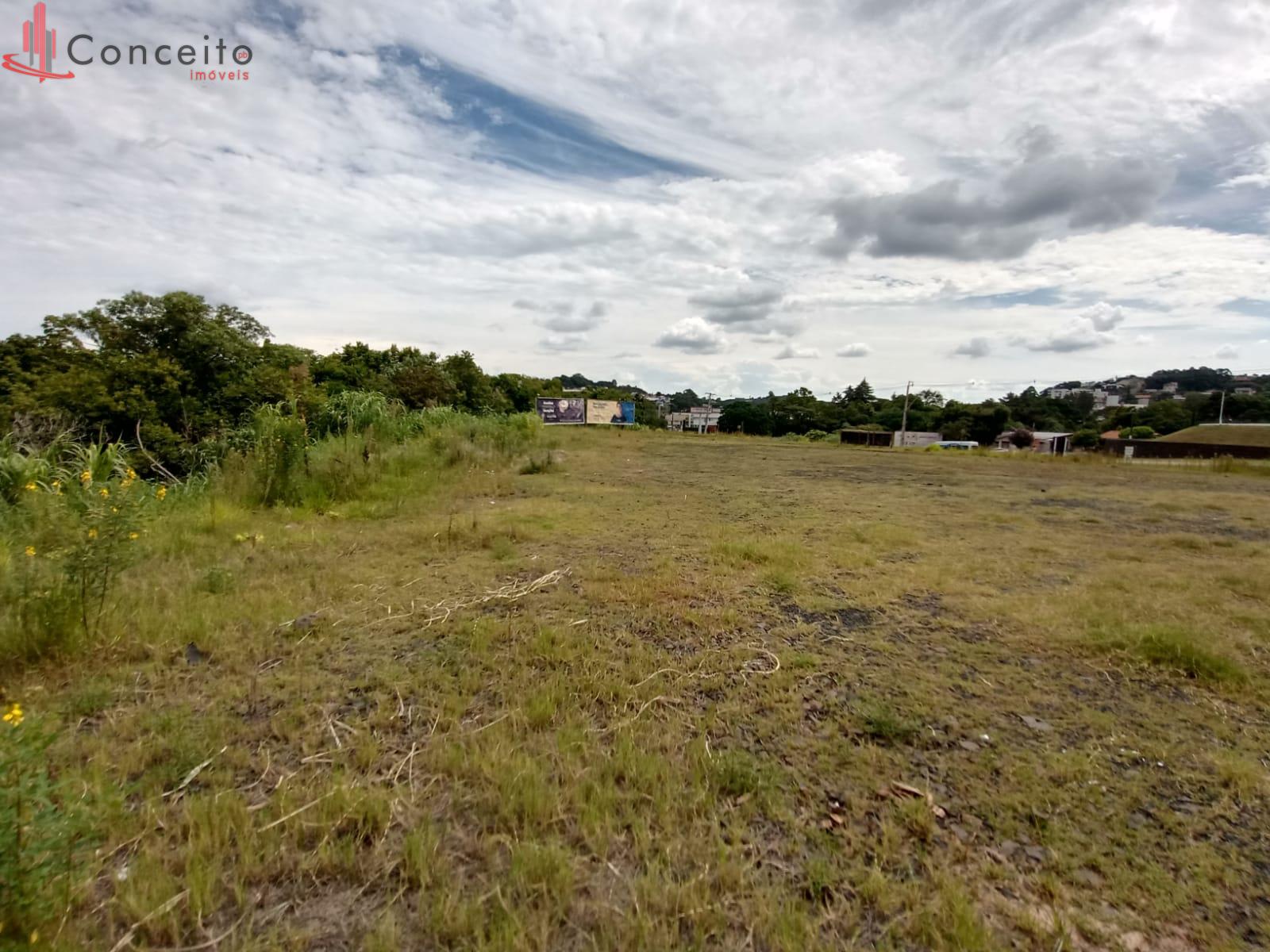 ALUGA TERRENO BR 158