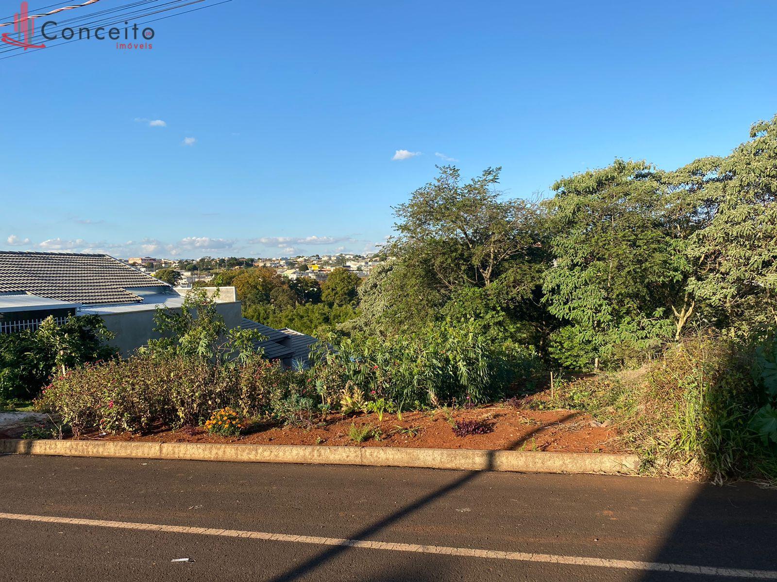VENDE TERRENO BAIRRO  SÃO ROQUE, PATO BRANCO - PR