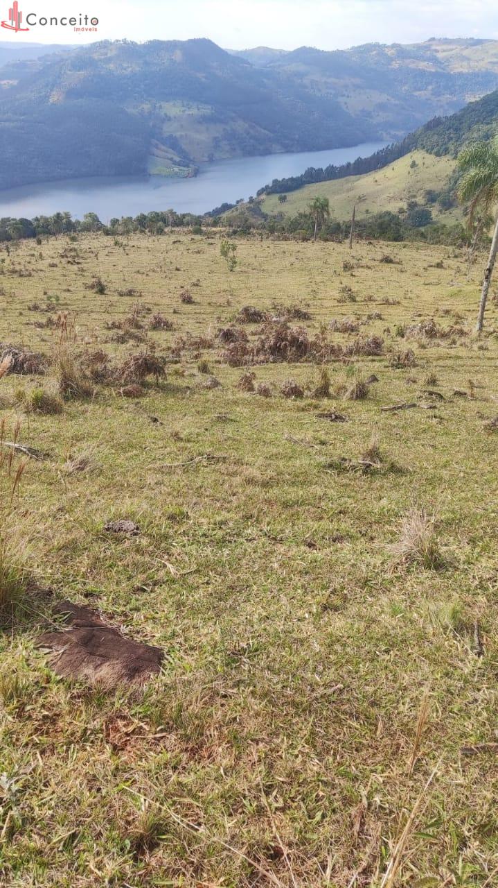 VENDE-SE 27 ALQUEIRES DE TERRAS  EM MANGUEIRINHA - PR
