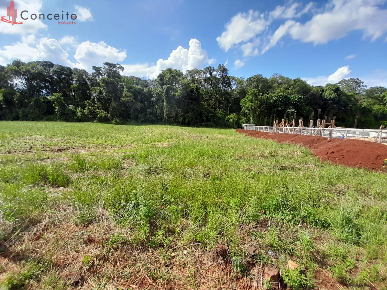 VENDE - TERRENO BAIRRO VILA IZABEL COM 612,54 M , PATO BRANCO ...