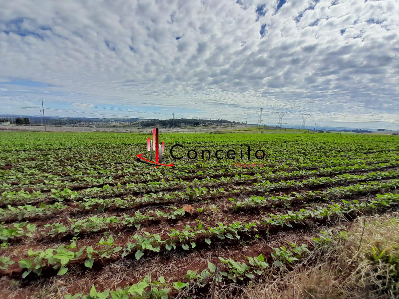VENDE TERRENO BAIRRO SÃO LUIZ COM ÓTIMA LOCALIZAÇÃO.