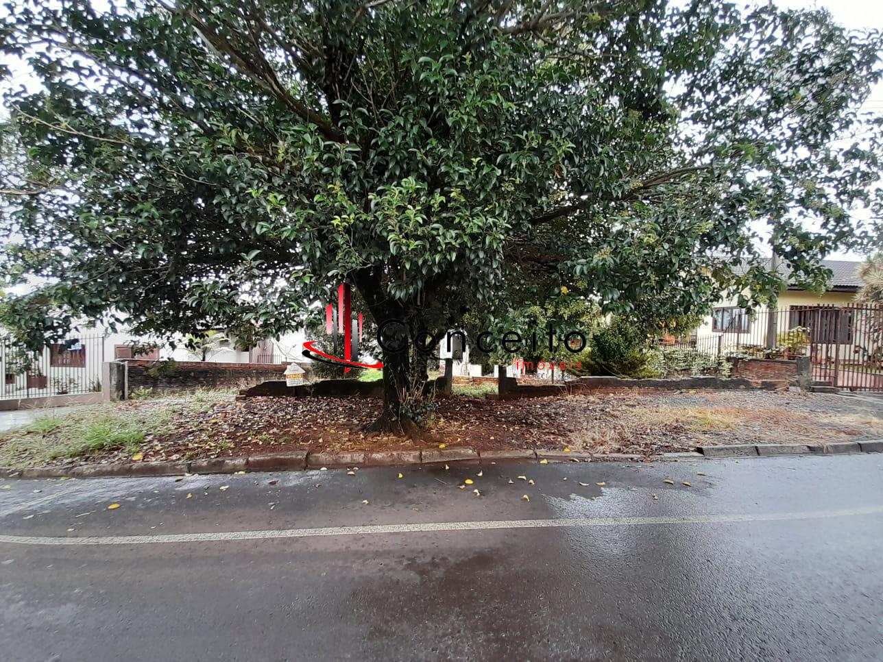 VENDE - TERRENO LOCALIZADO NO  BAIRRO  BRASILIA, PATO BRANCO - PR
