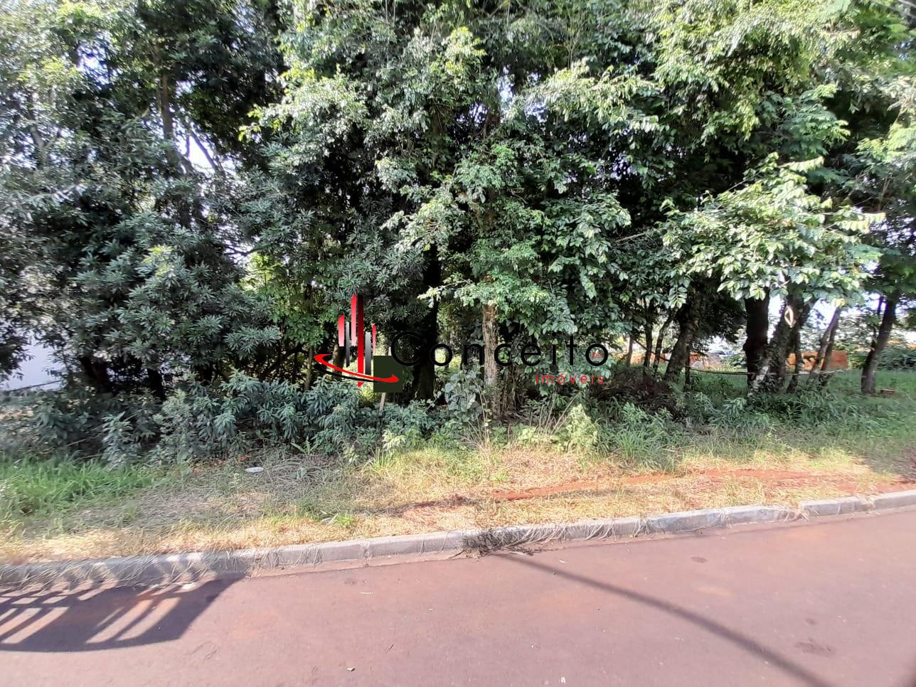 VENDE TERRENO BAIRRO  VILA IZABEL, PATO BRANCO - PR
