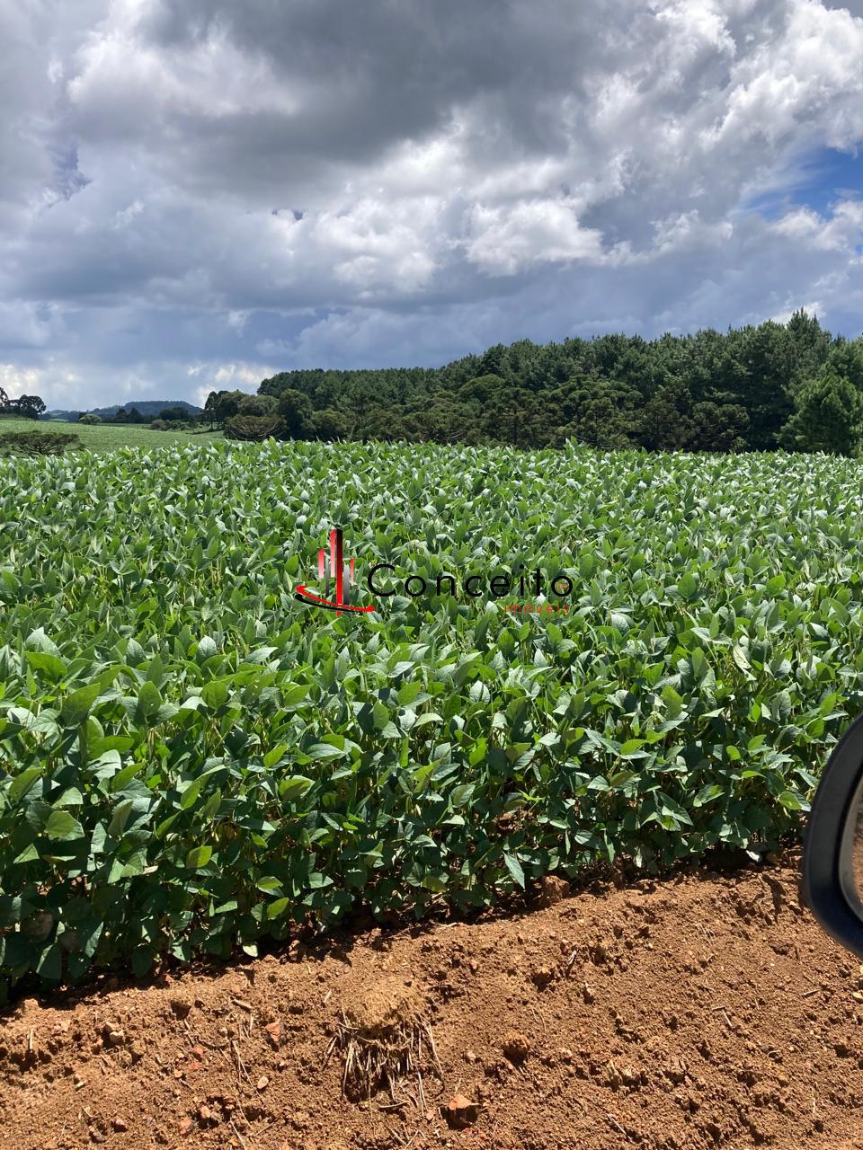 VENDE FAZENDA NA CIDADE DE  GENERAL CARNEIRO - PR