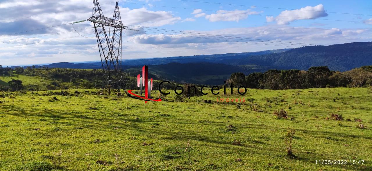VENDE ÁREA DE TERRA BAIRRO COVÓ, INTERIOR, MANGUEIRINHA - PR