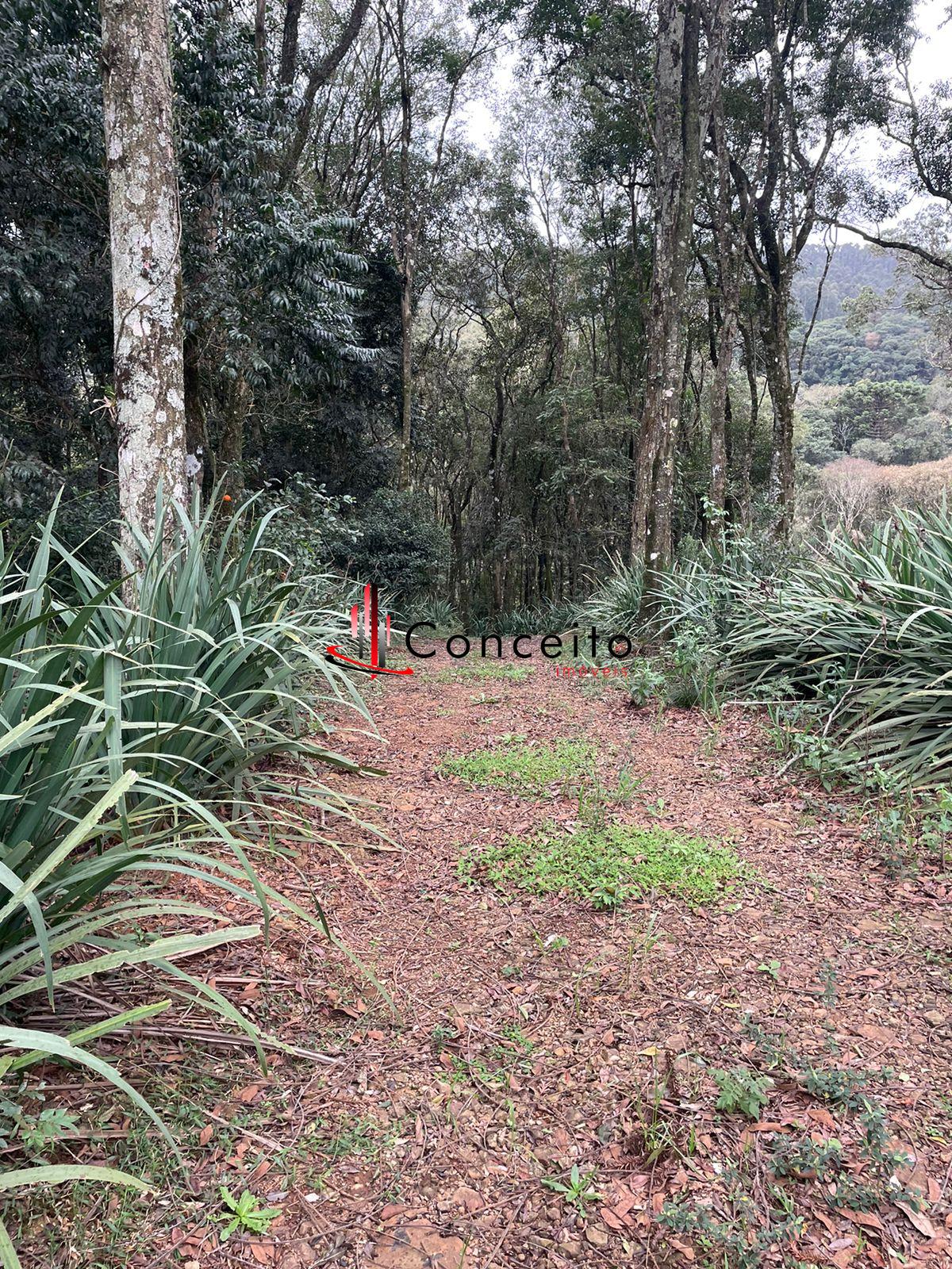 VENDE CHÁCARA  NOSSA SENHORA DE FATIMA, MARIOPOLIS  - PR