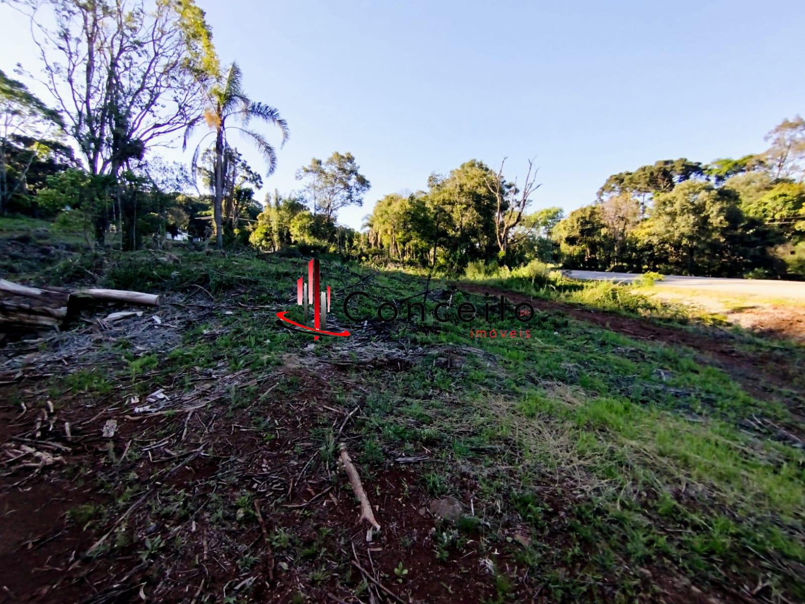 VENDE TERRENO PR 280 MARIOPOLIS  - PR