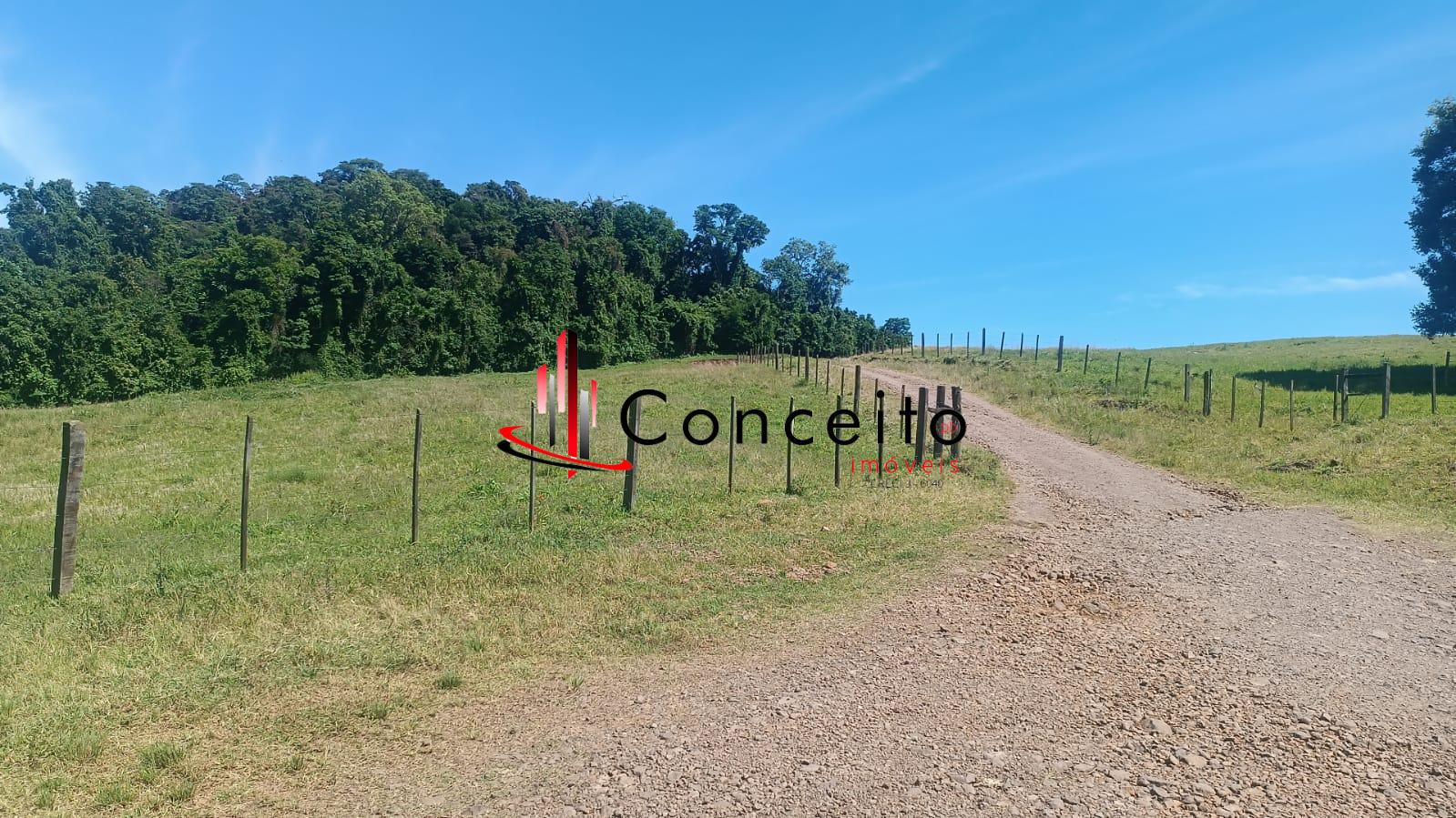 VENDE -  FAZENDA  NA CIDADE  DE  FORMOSA DO SUL - SC