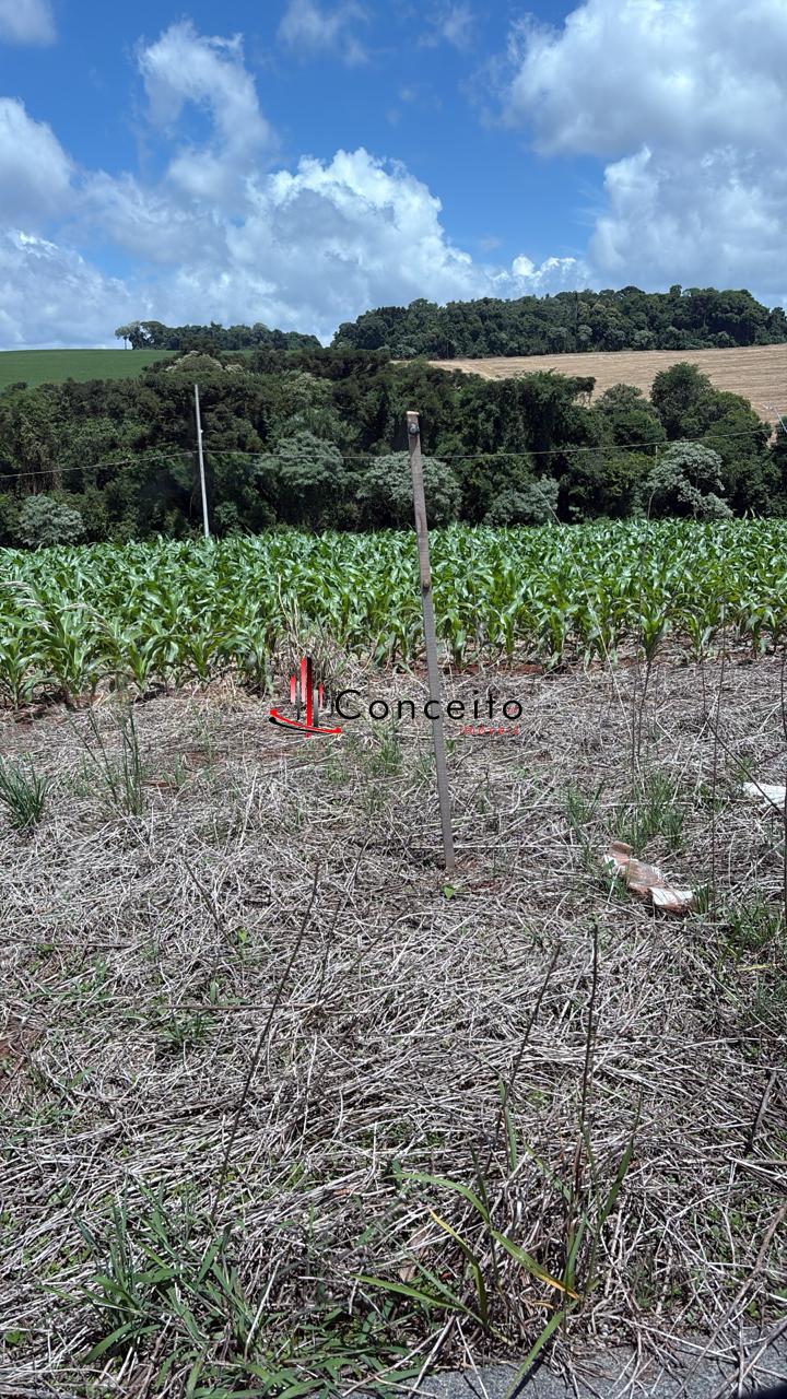 VENDE TERRENO BAIRRO  FRARON, PATO BRANCO - PR