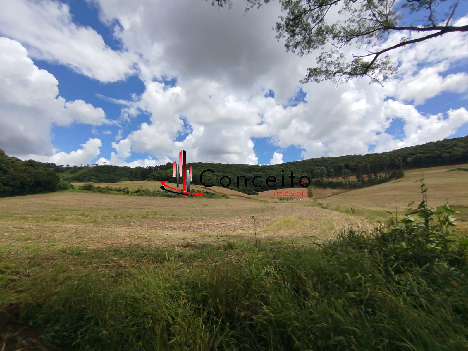 VENDE ?REA DE TERRA , INTERIOR, VITORINO - PR