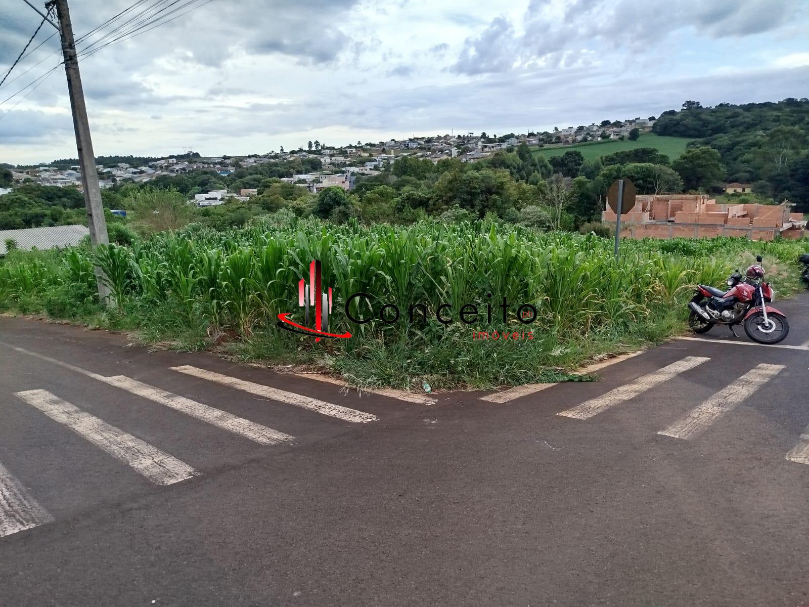 VENDE TERRENO BAIRRO SÃO FRANCISCO, PATO BRANCO - PR