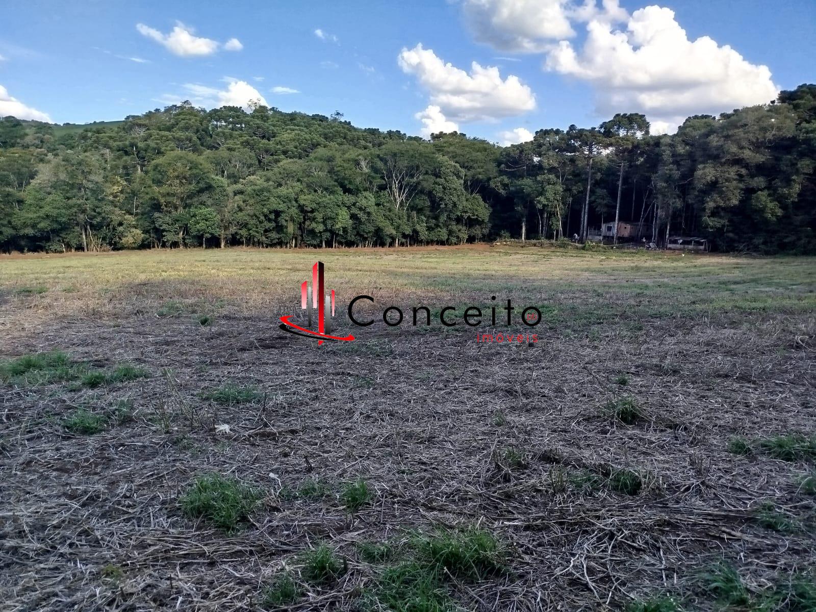 VENDE CH?CARA PR?XIMO A COMINIDADE PASSO DA ILHA  PATO BRANCO ...