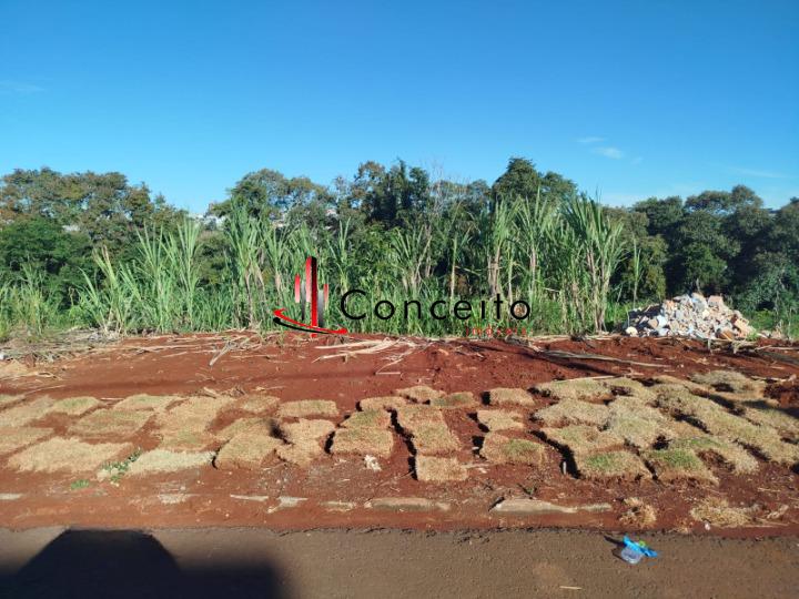 VENDE TERRENO BAIRRO MENINO DEUS LOTEAMENTO DOM CARLOS , PATO ...