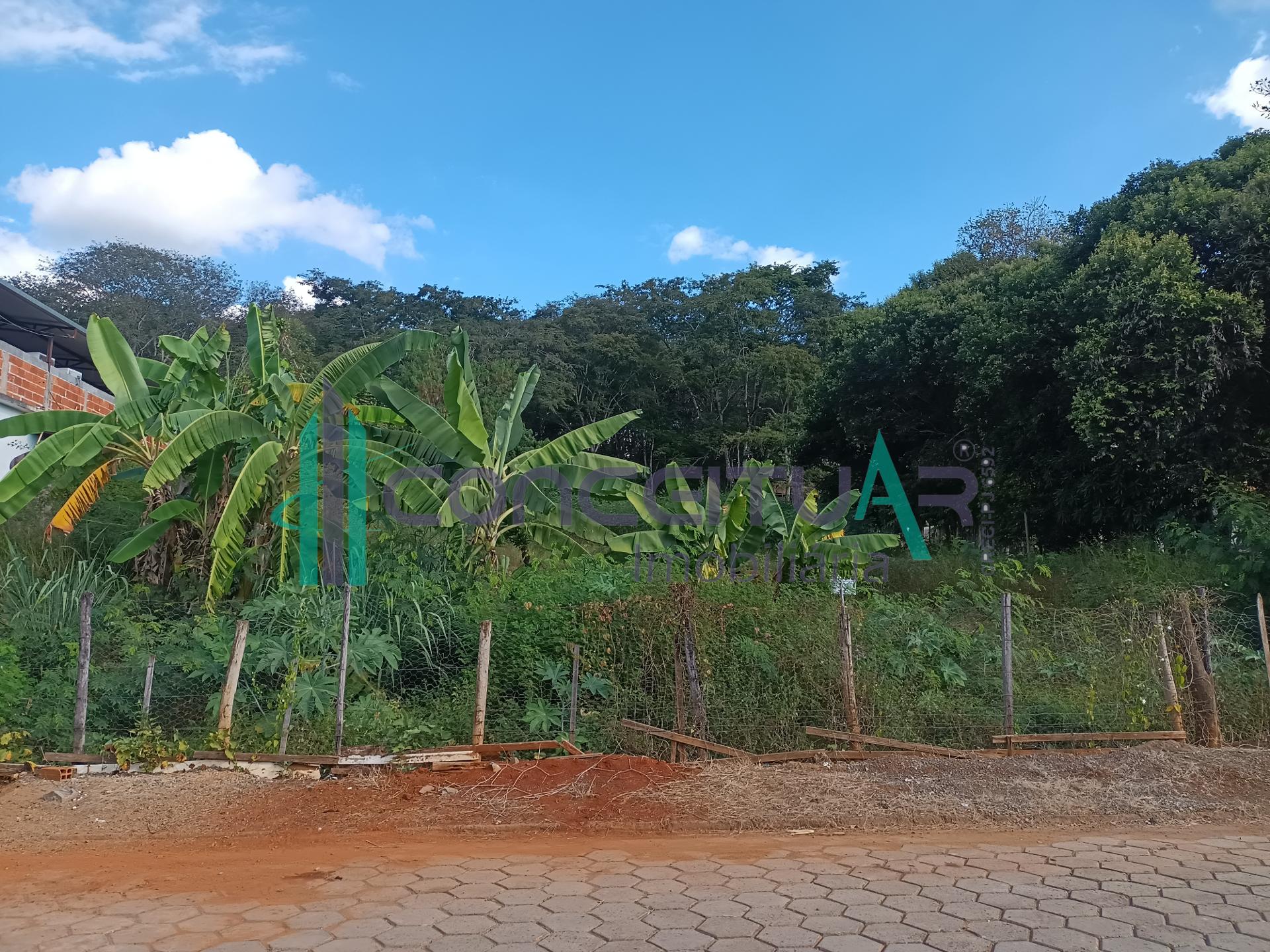 Lote  venda com 1.800 m , 24m X 75 m, Dona Ziza, Pains - MG.