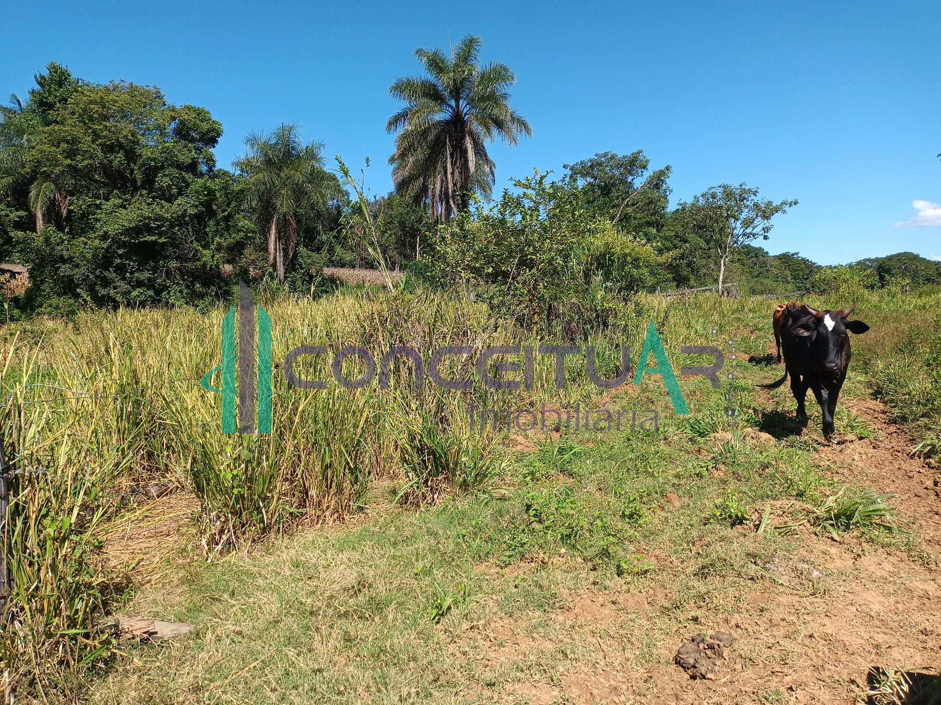 Terreno  venda, TERRENO COM 17,5 HECTARES, ZONA RURAL, PAINS - MG
