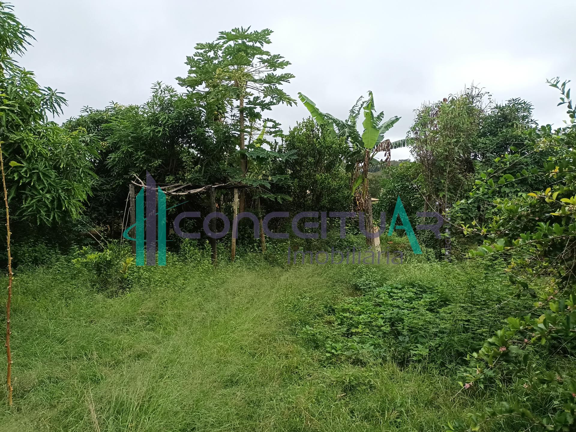 Conceituar Imobiliria