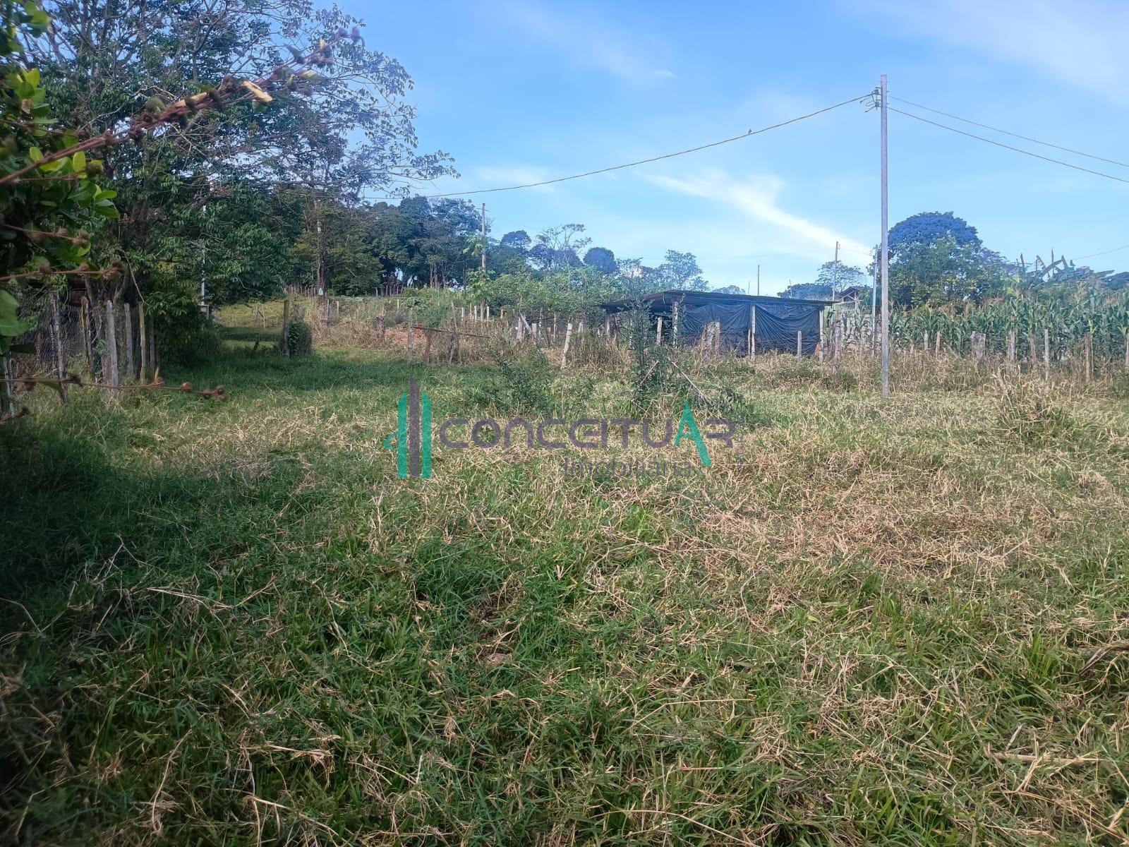 Conceituar Imobiliria