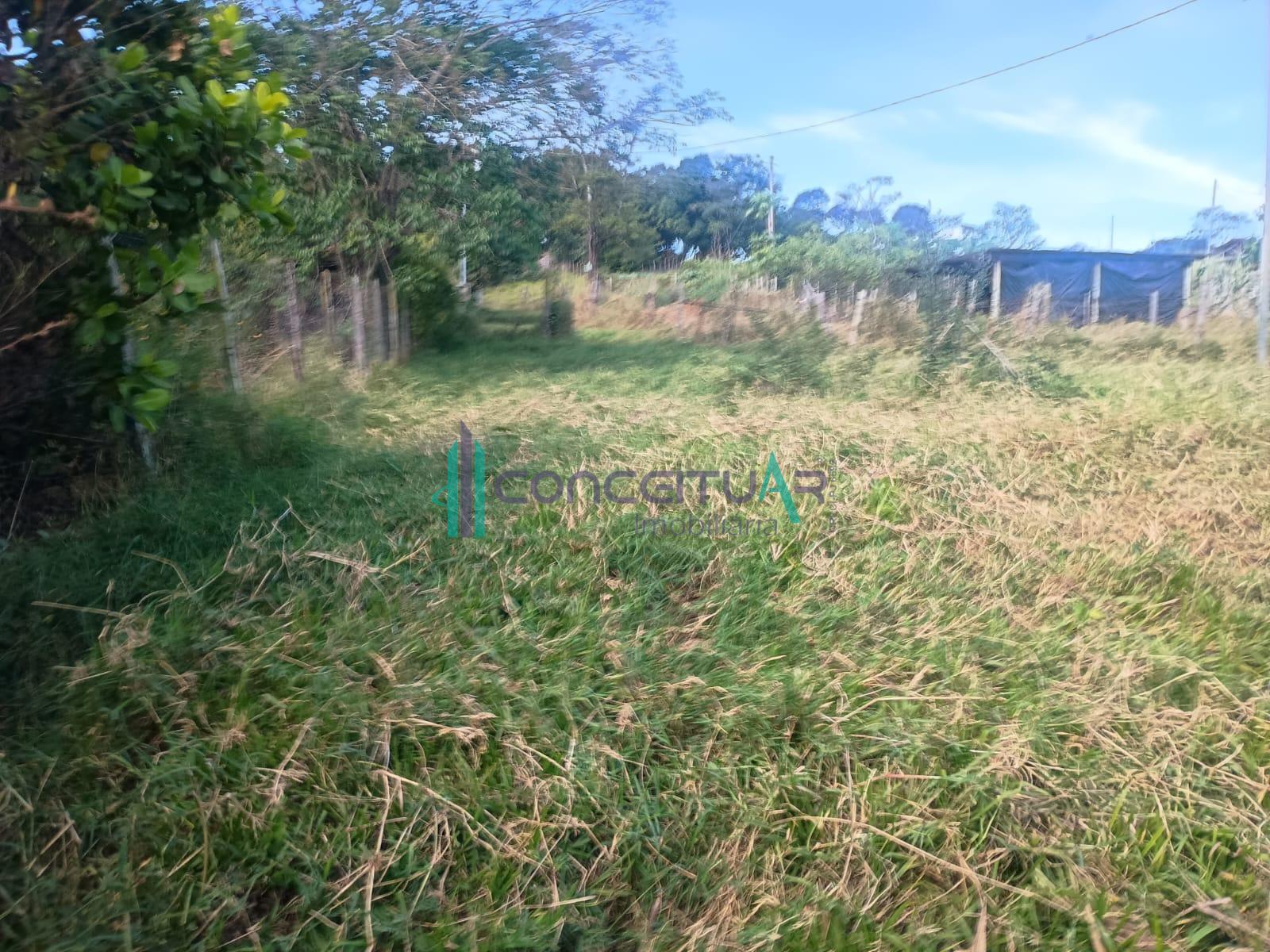 Conceituar Imobiliria