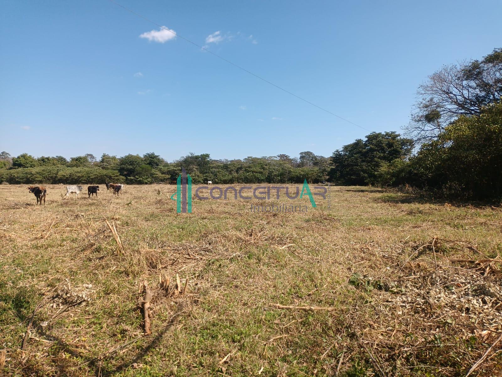 Conceituar Imobiliria