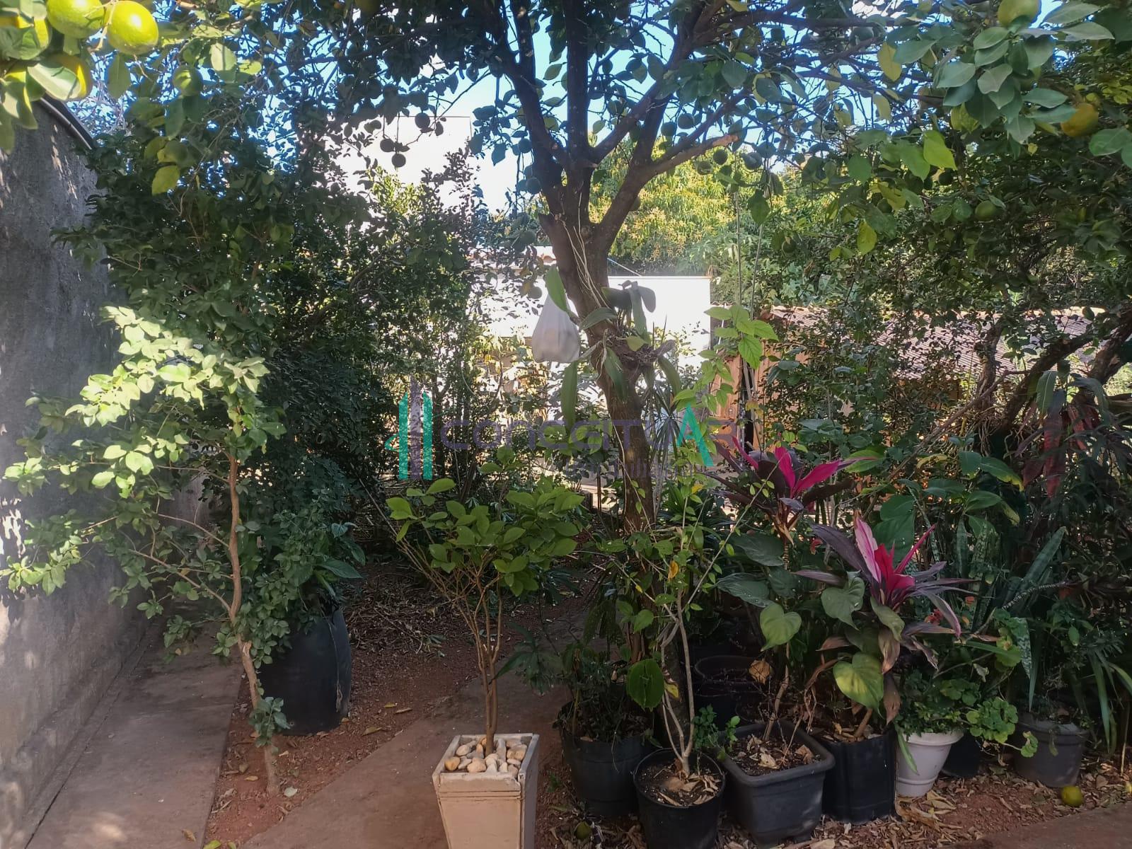 Chcara com rea gourmet e pomar formado, centro, Pains MG.