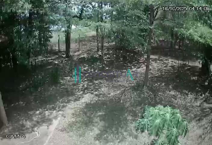 Conceituar Imobiliria