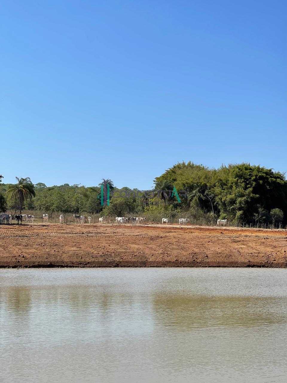 Conceituar Imobili�ria