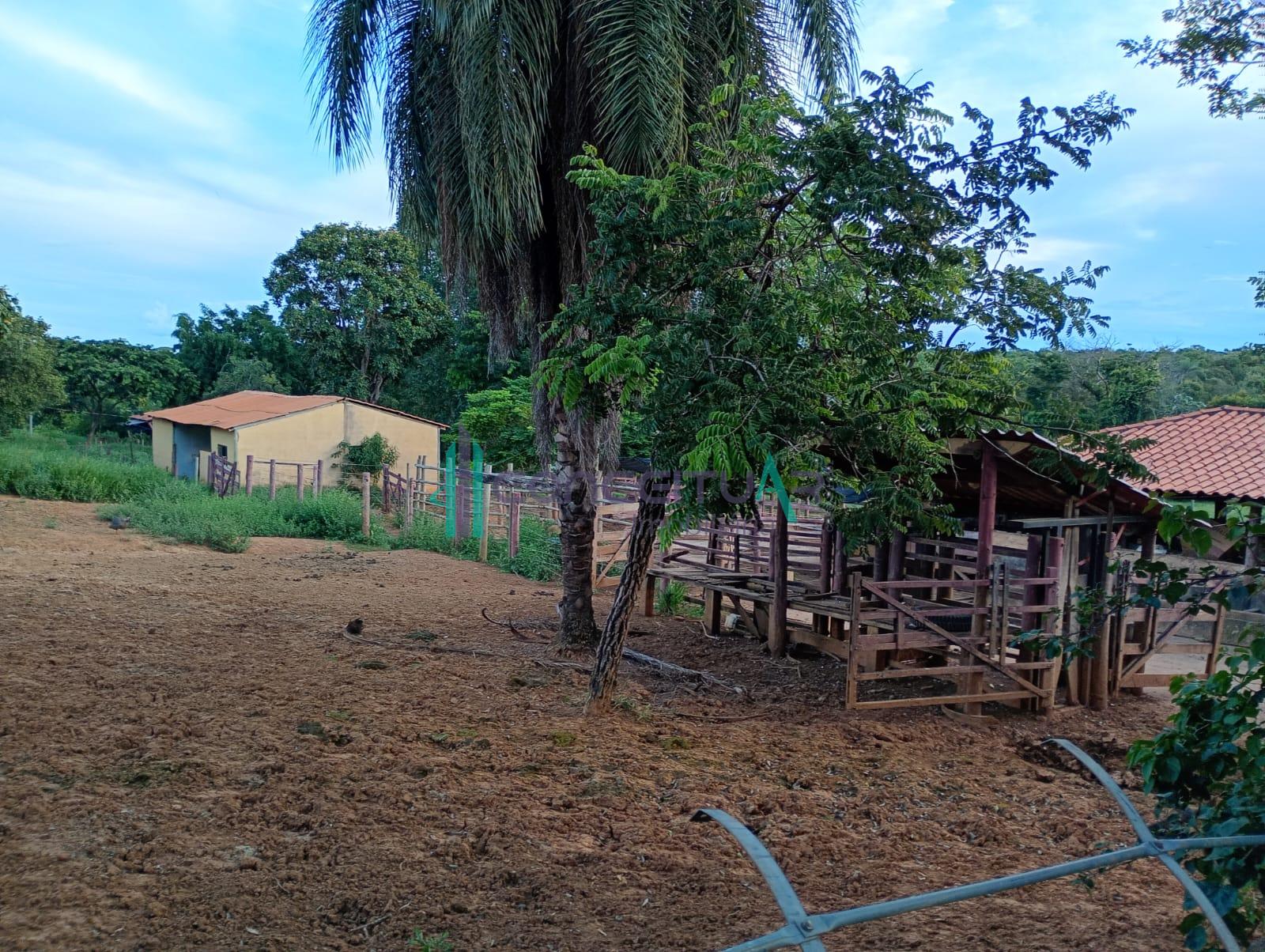 Conceituar Imobili�ria