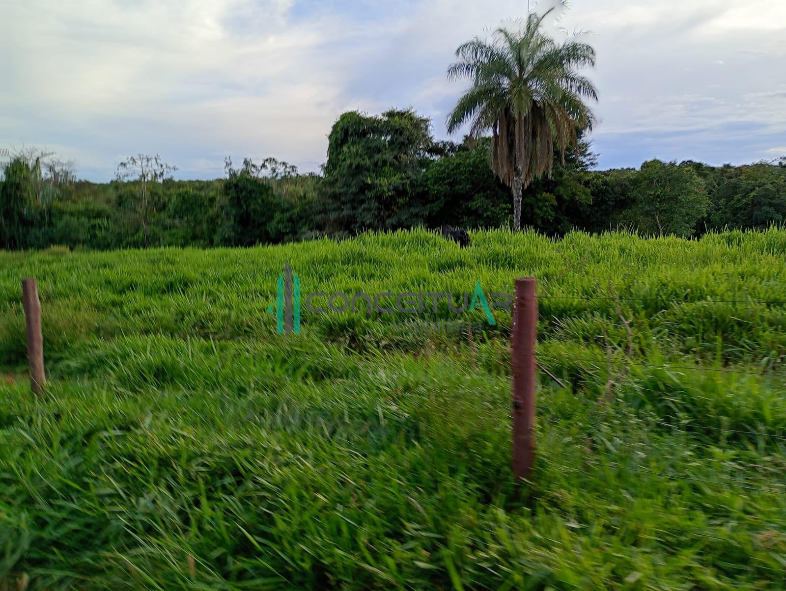 Conceituar Imobili�ria