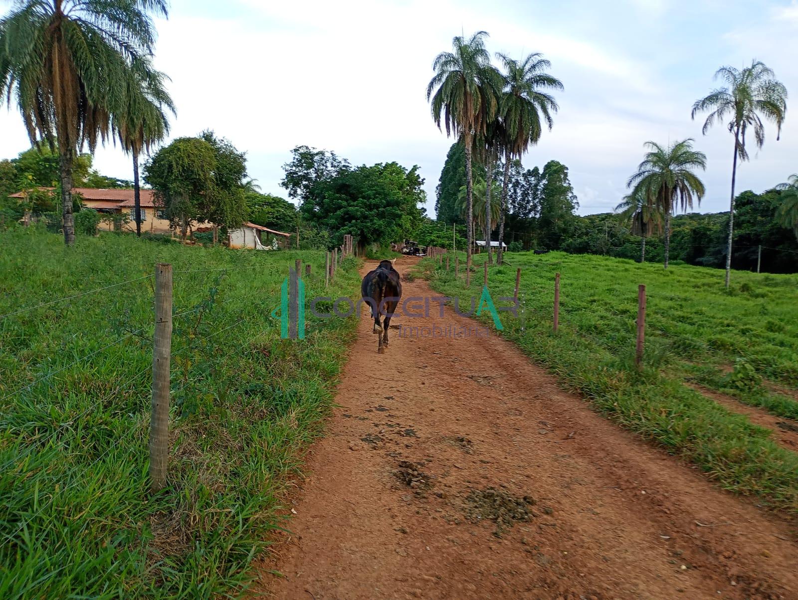 Conceituar Imobili�ria