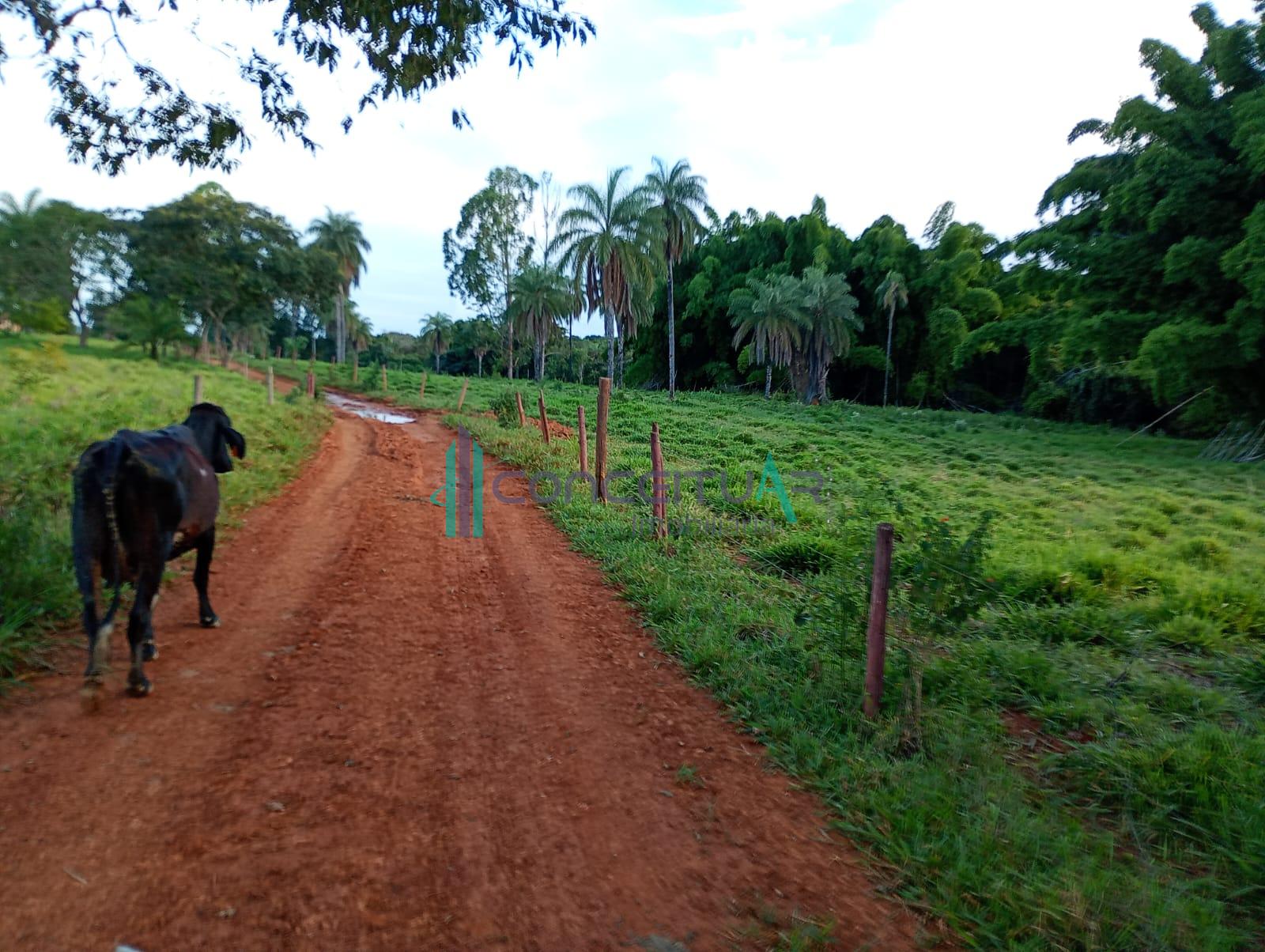 Conceituar Imobili�ria