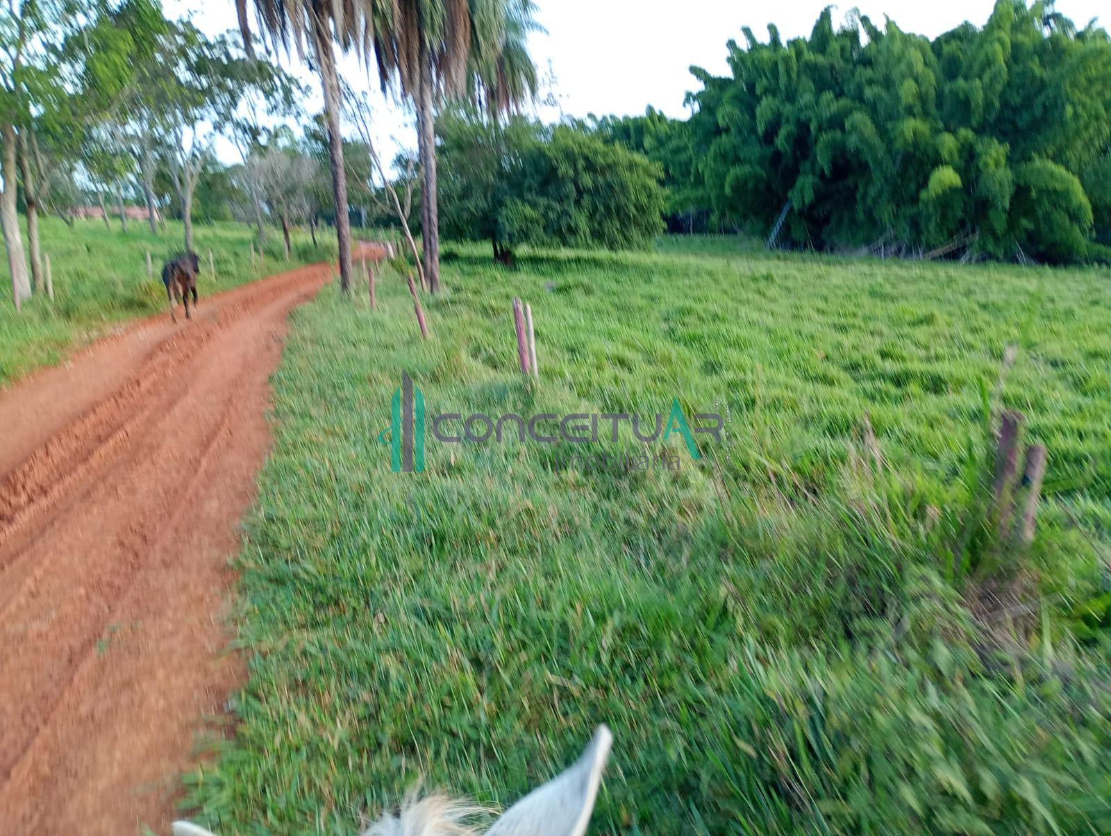 Conceituar Imobili�ria